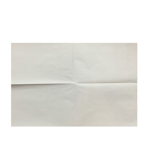 Stragier - Papier Carbone 44x66cm - Uni - Blanc